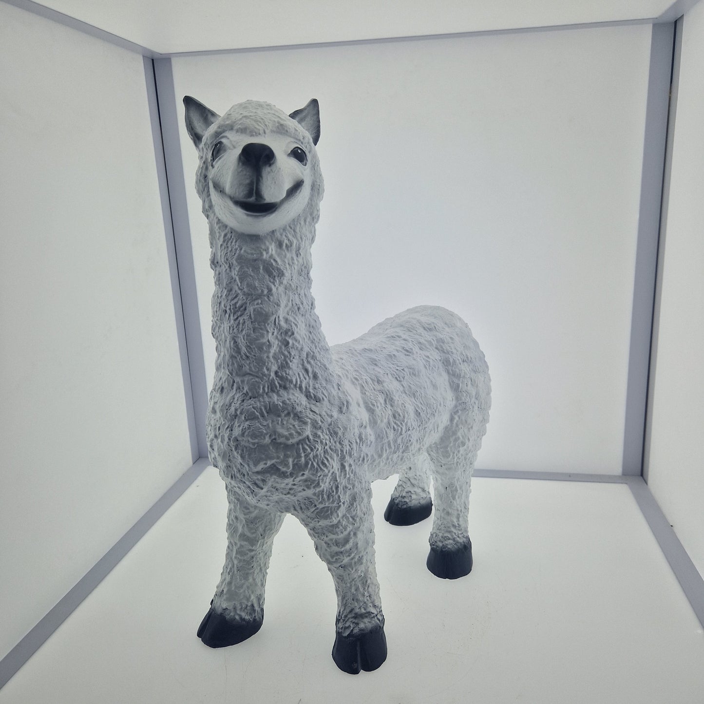 Petit lama 50 x 30cm