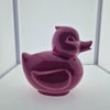 Canard 30 x 30cm